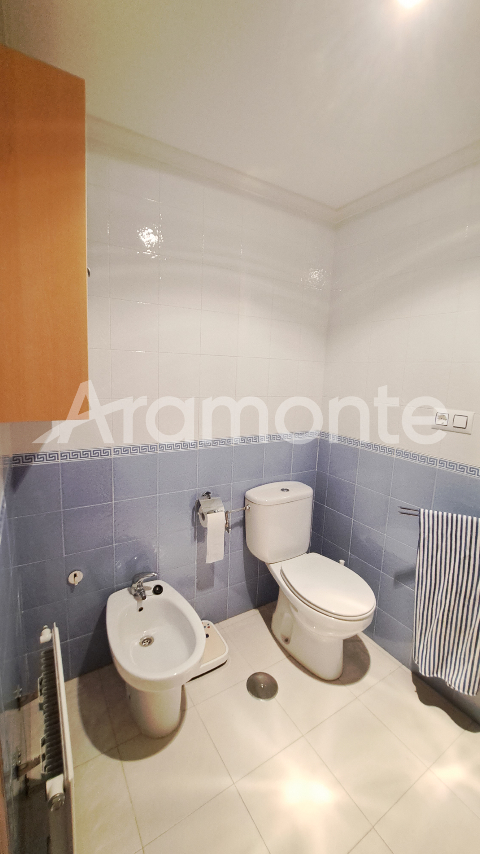 Pisos-Venta-AvilÃ©s-1482376-Foto-18