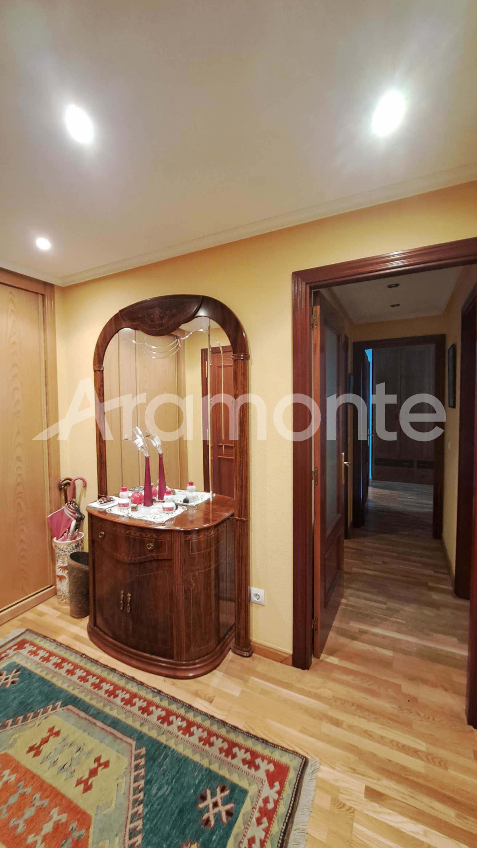 Pisos-Venta-AvilÃ©s-1482376-Foto-34