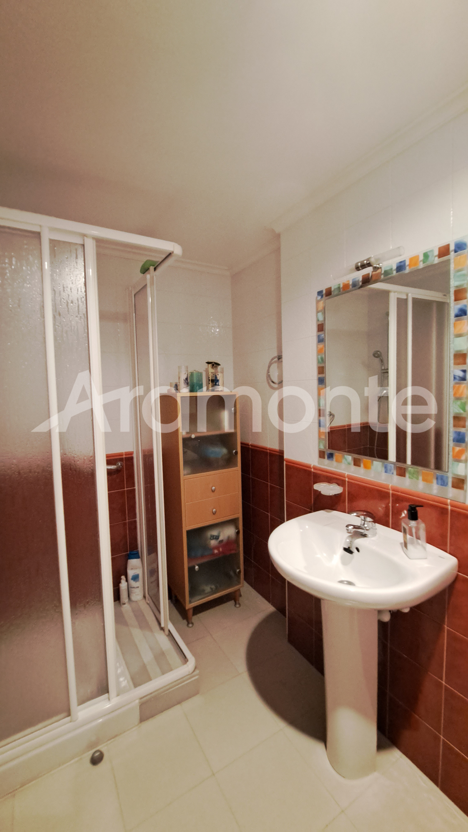 Pisos-Venta-AvilÃ©s-1482376-Foto-29