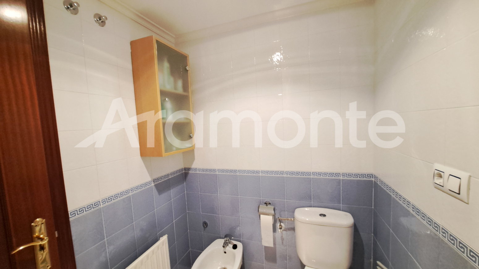 Pisos-Venta-AvilÃ©s-1482376-Foto-21