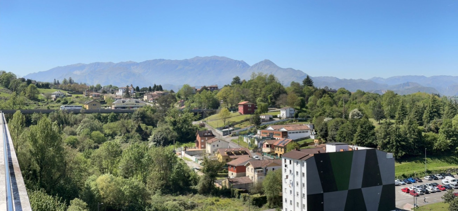Pisos-Venta-Oviedo-1655314-Foto-9