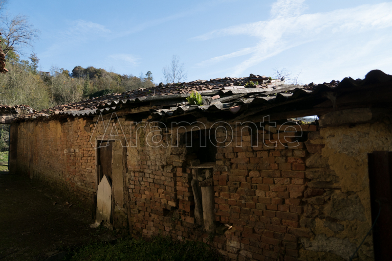 Casas o chalets-Venta-Ribera de Arriba-632655-Foto-46