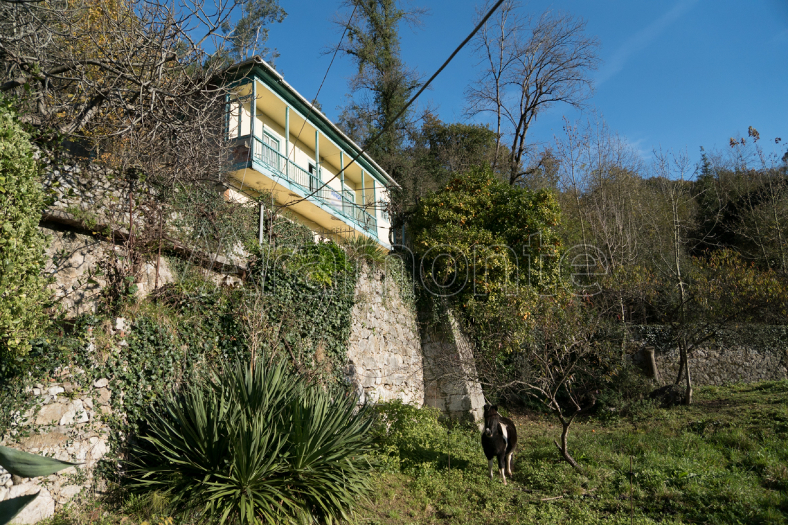 Casas o chalets-Venta-Ribera de Arriba-632655-Foto-42