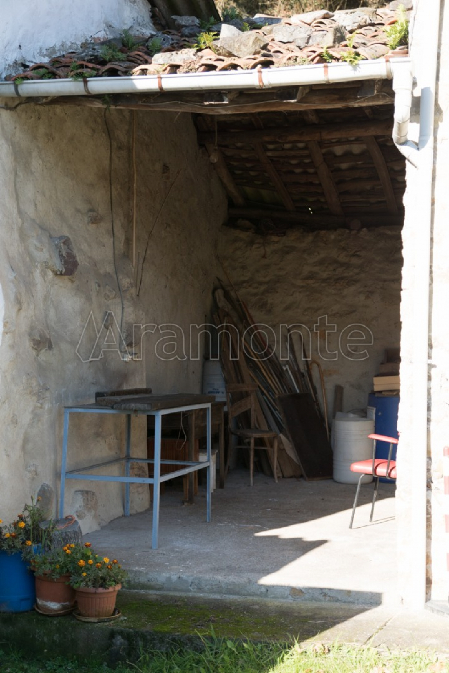 Casas o chalets-Venta-Ribera de Arriba-632657-Foto-47
