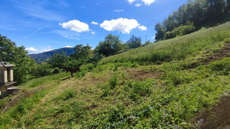 Venta de Casas o chalets en Mondoñedo