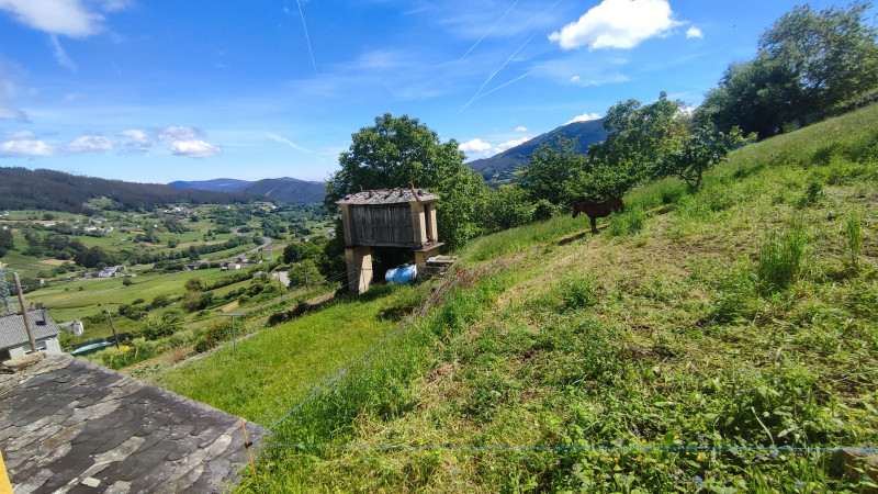 Venta de Casas o chalets en Mondoñedo