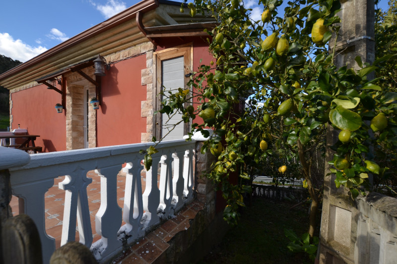 Venta de Casas o chalets en Coaña