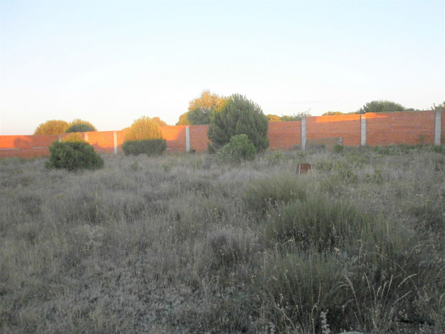 Fincas y solares-Venta-Portillo-611057-Foto-5