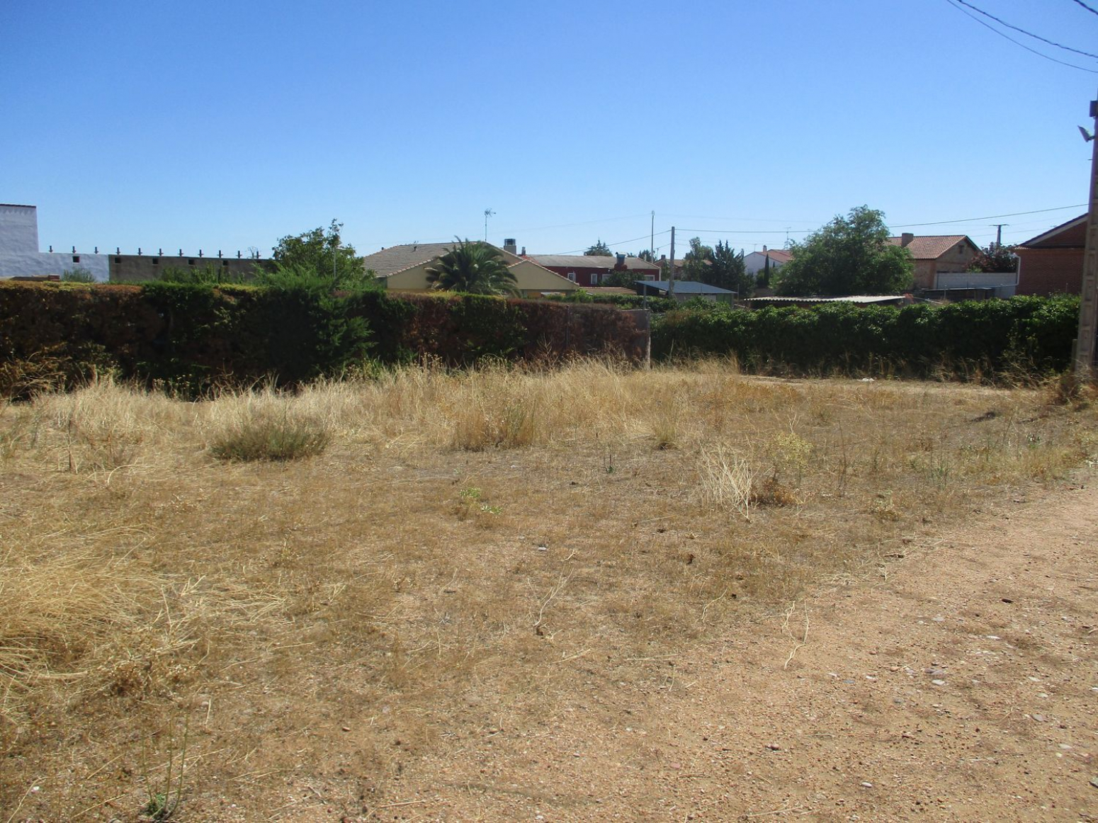 Fincas y solares-Venta-CastronuÃ±o-611248-Foto-5