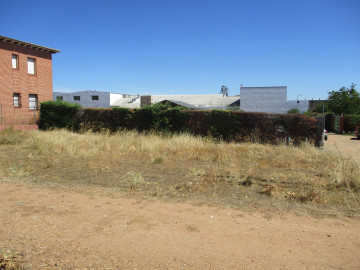 Fincas y solares-Venta-CastronuÃ±o-611248-Foto-3-Carrousel