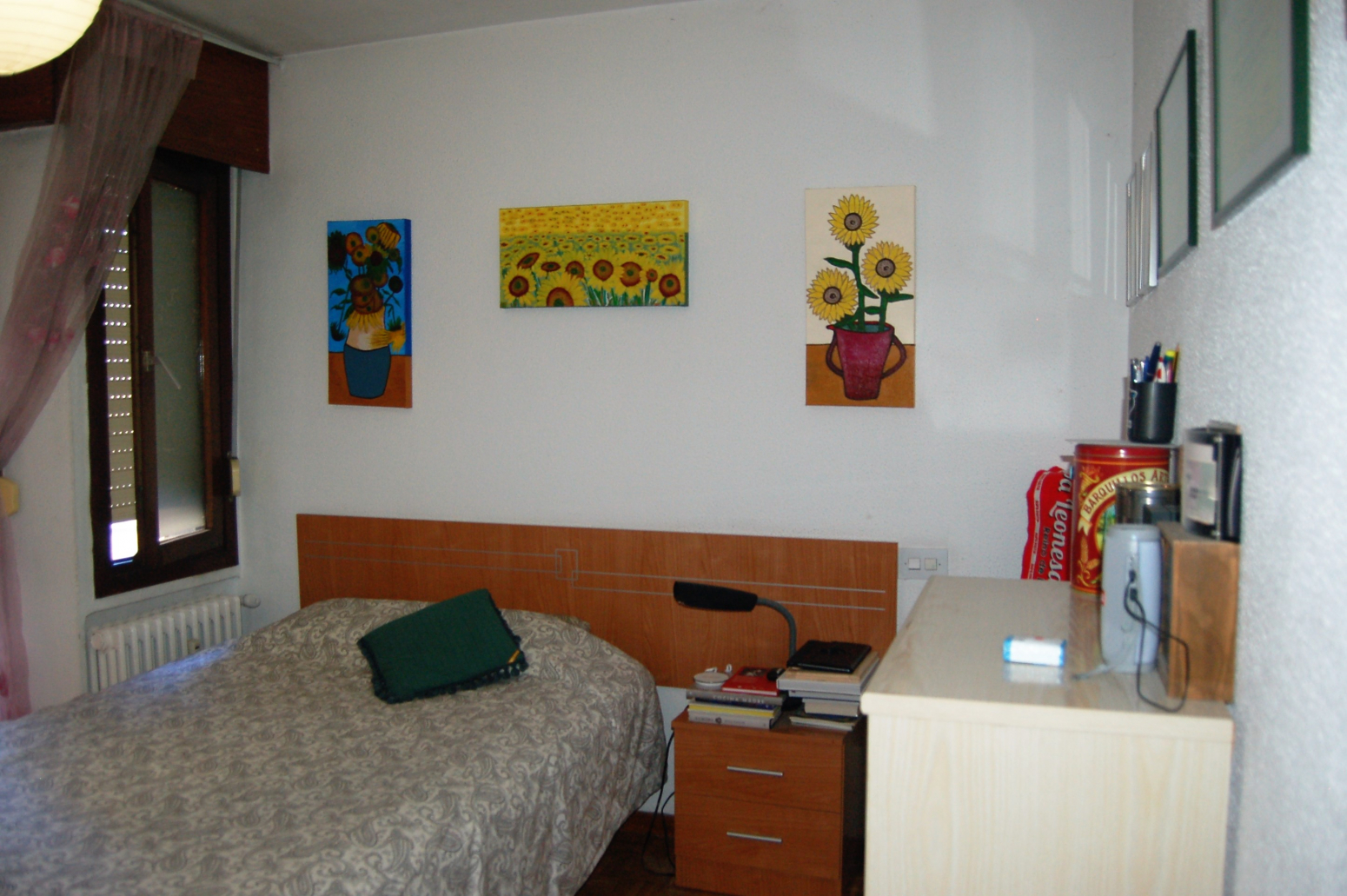 Pisos-Venta-LeÃ³n-687901-Foto-18