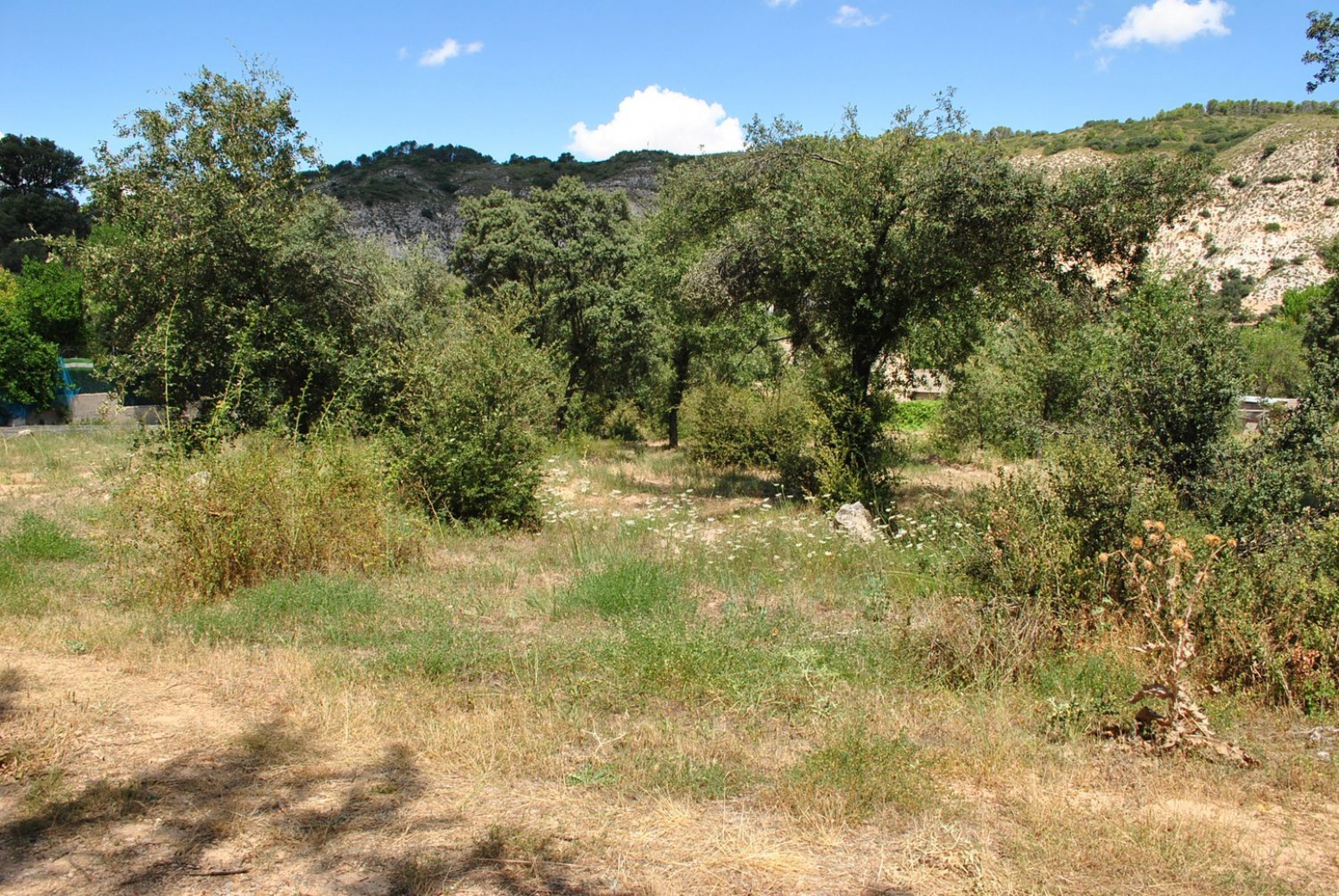 Fincas y solares-Venta-Loranca de TajuÃ±a-630942-Foto-6