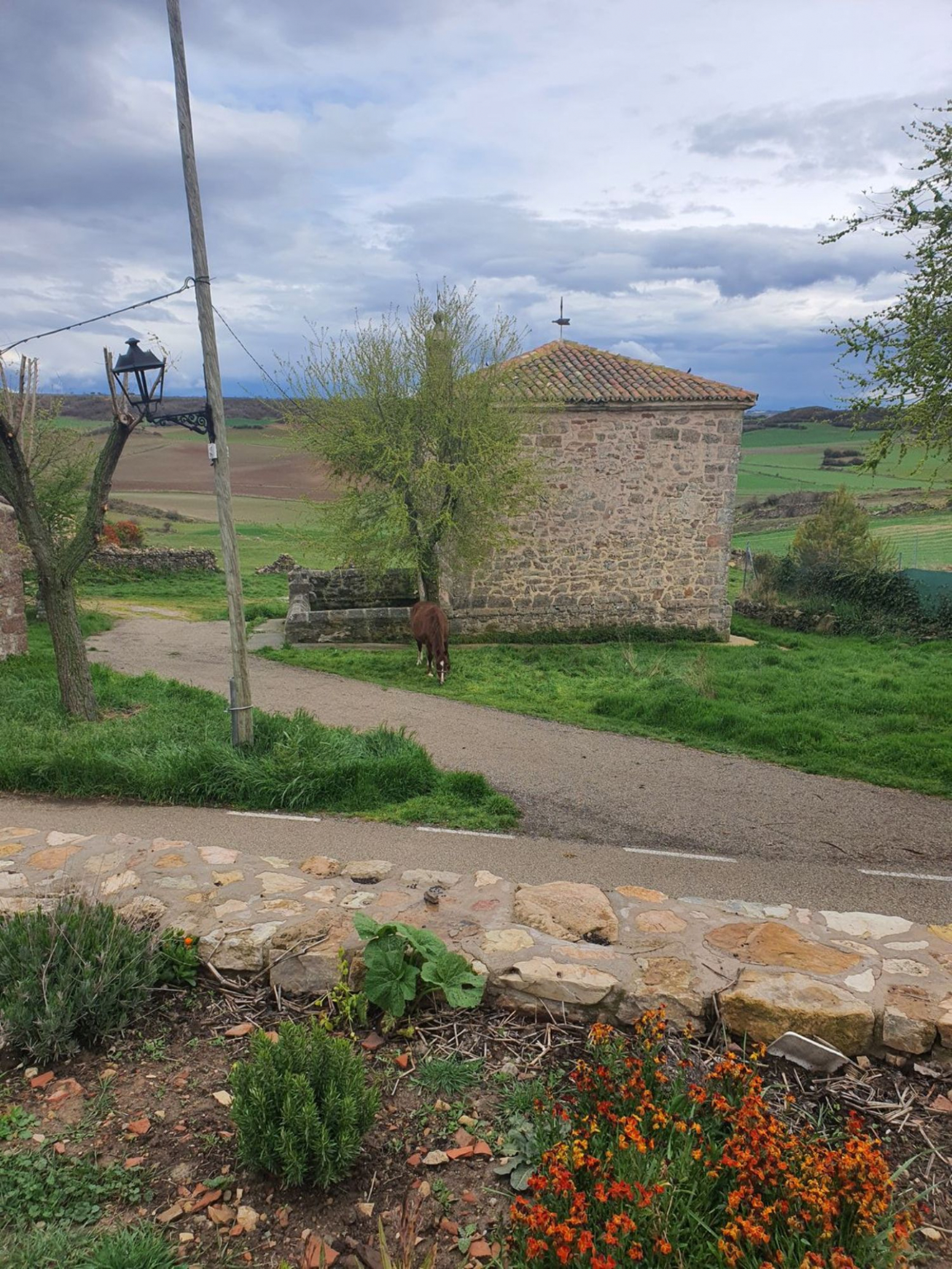 Casas o chalets-Venta-SigÃ¼enza-630974-Foto-16