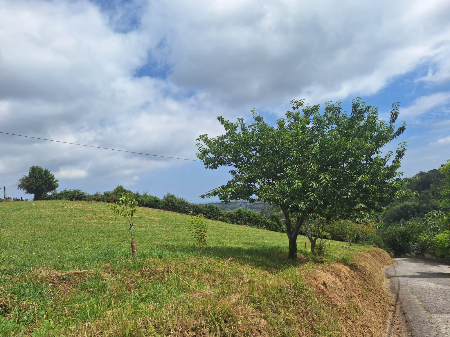 Fincas y solares-Venta-GijÃ³n-1399314-Foto-11