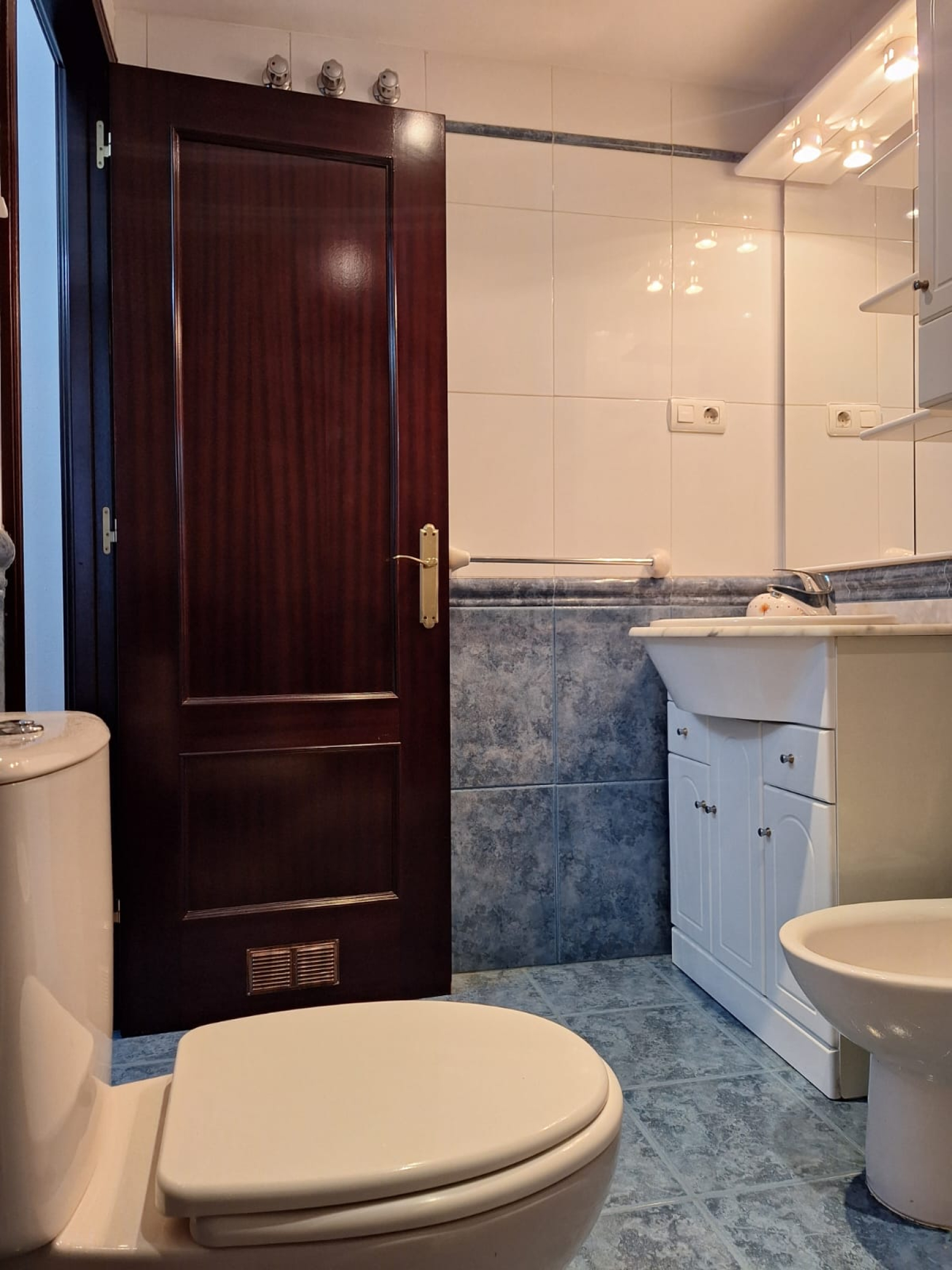 Pisos-Venta-AvilÃ©s-1501237-Foto-52