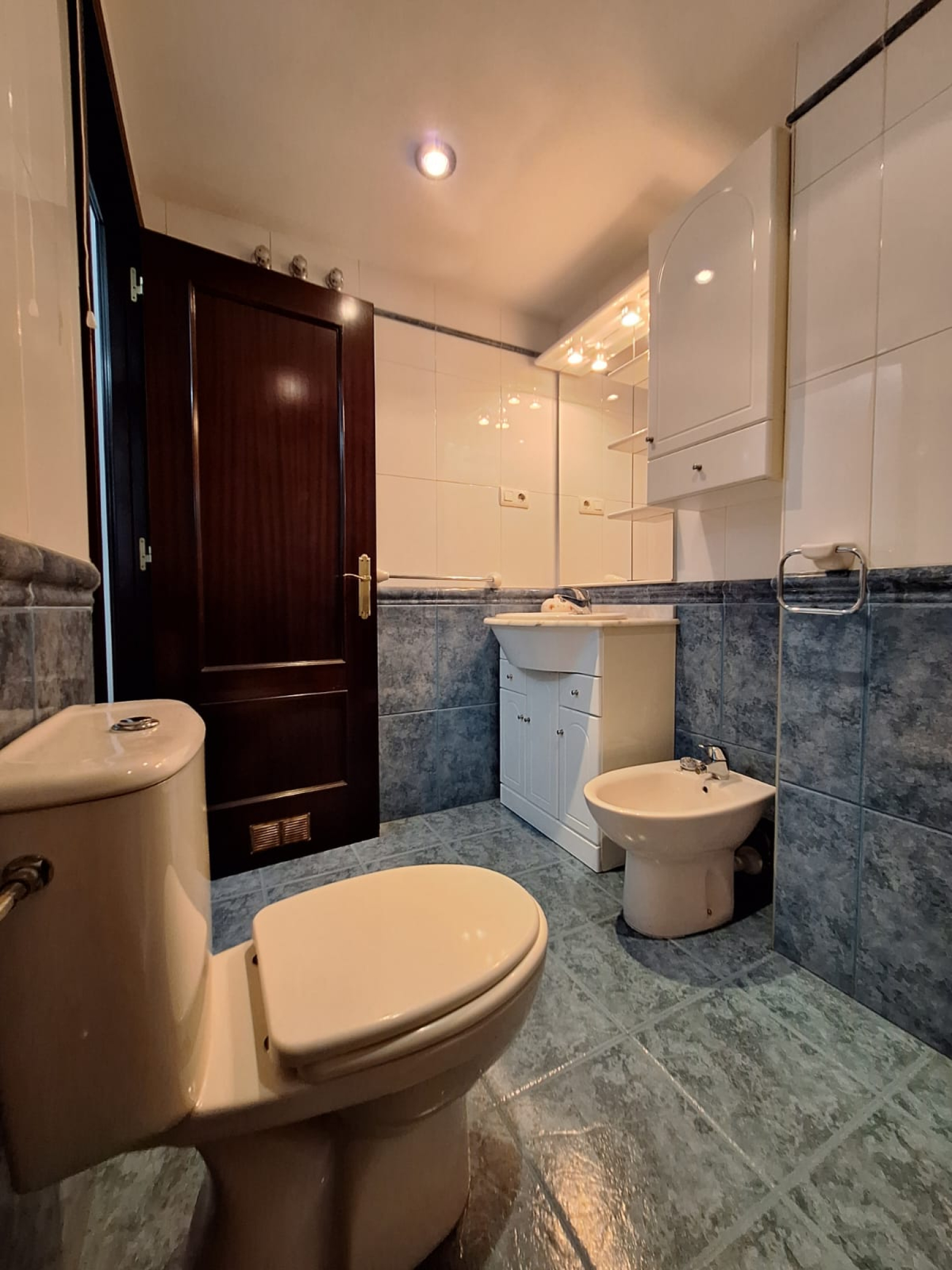 Pisos-Venta-AvilÃ©s-1501237-Foto-50