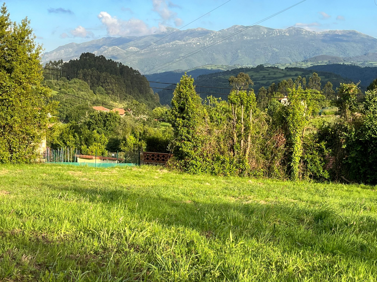 Fincas y solares-Venta-Colunga-1701989-Foto-4