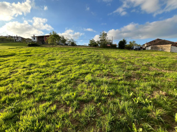 Fincas y solares-Venta-Colunga-1701989