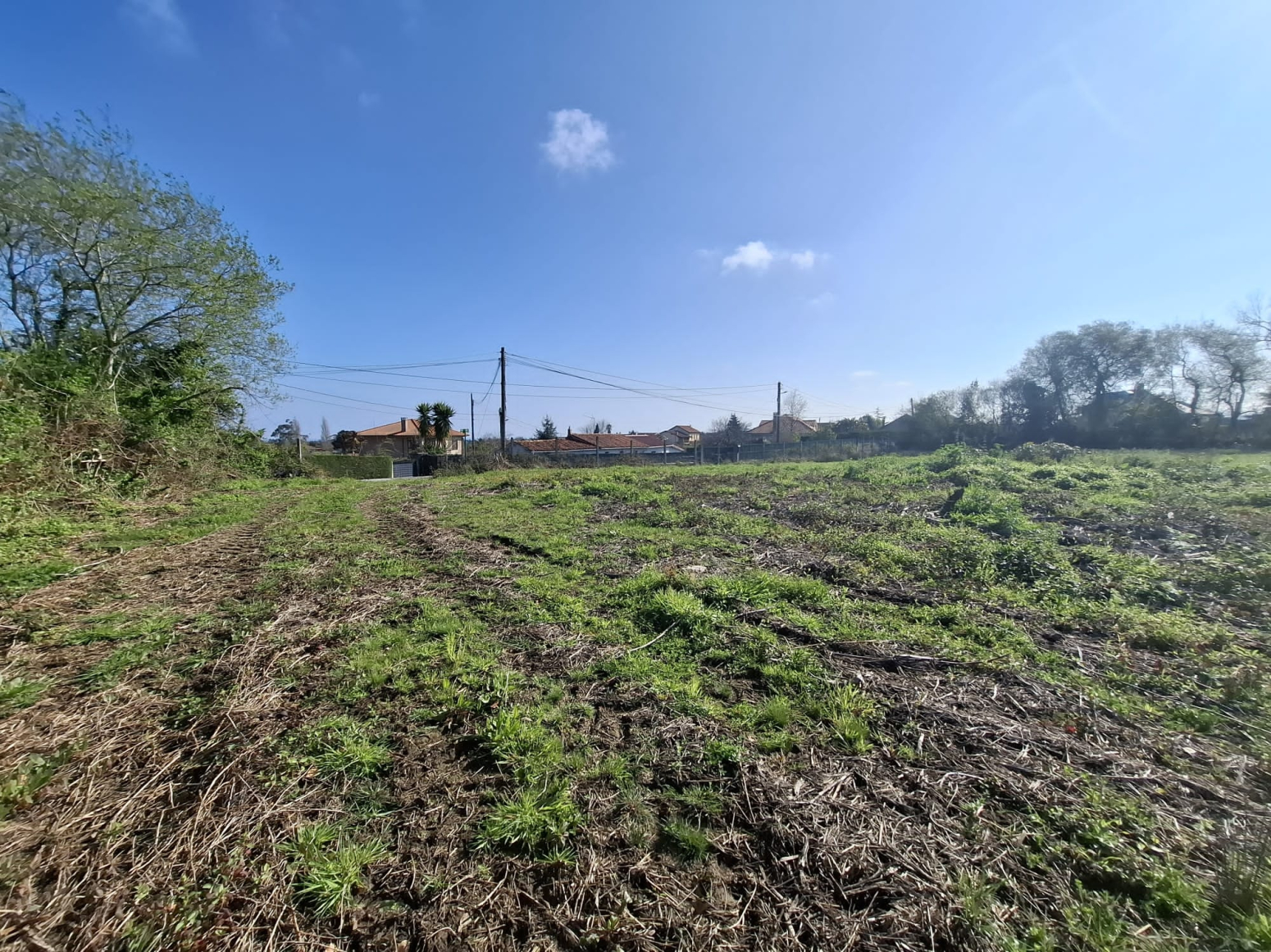 Fincas y solares-Venta-GijÃ³n-1708168-Foto-9