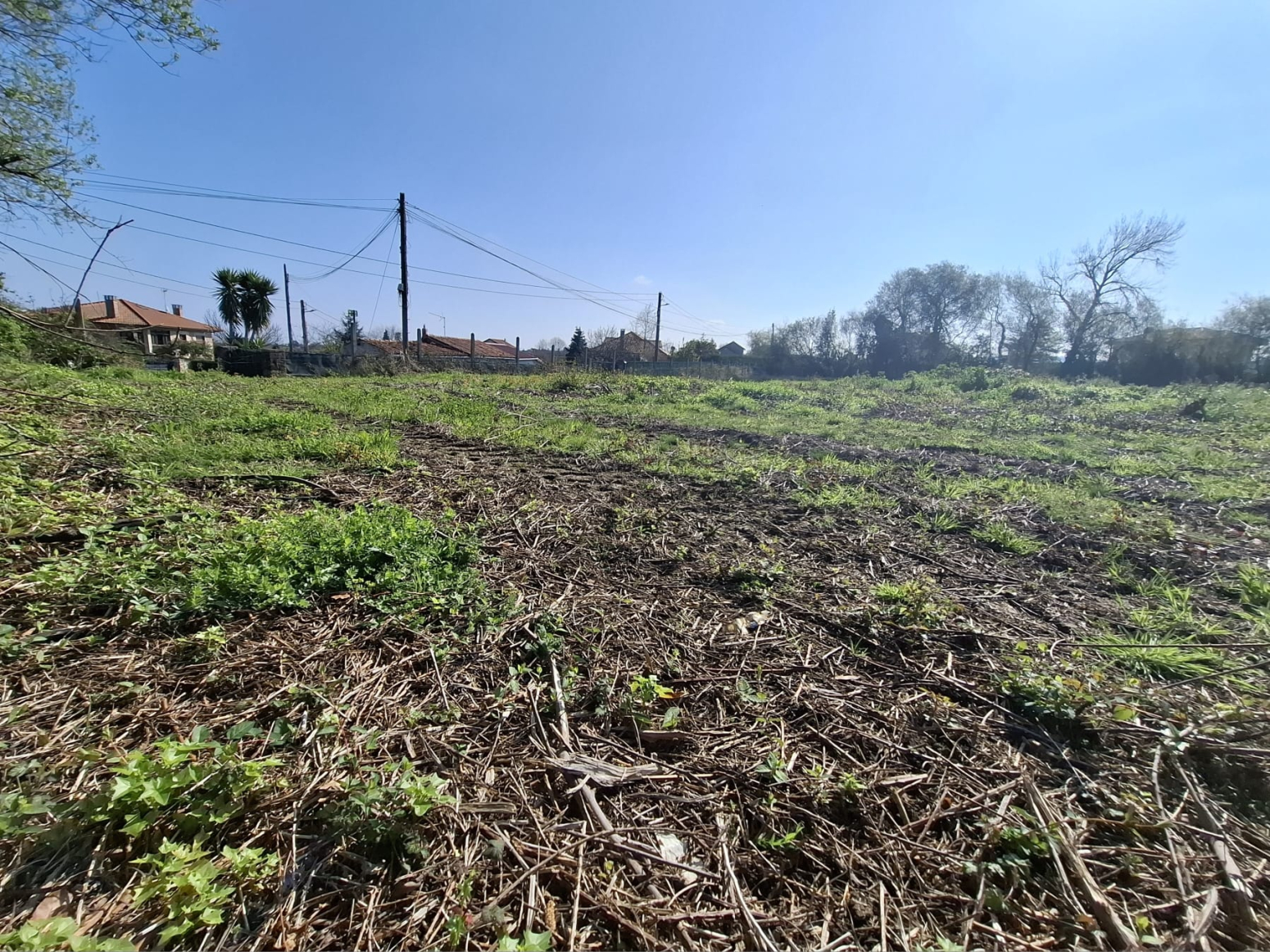 Fincas y solares-Venta-GijÃ³n-1708168-Foto-8