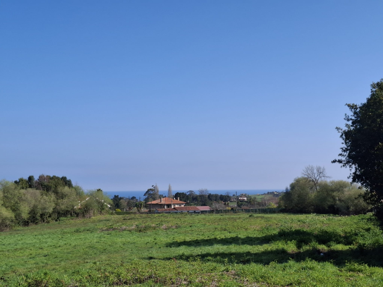 Fincas y solares-Venta-GijÃ³n-1708168-Foto-5