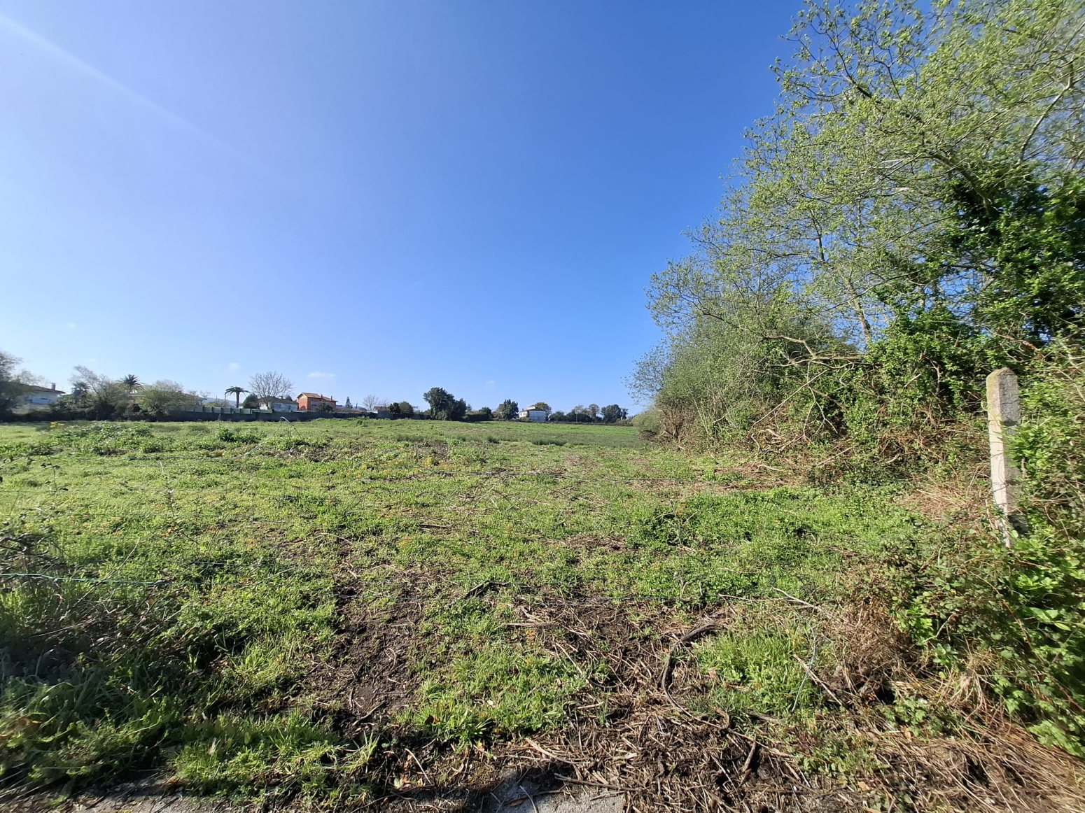 Fincas y solares-Venta-GijÃ³n-1708168-Foto-22
