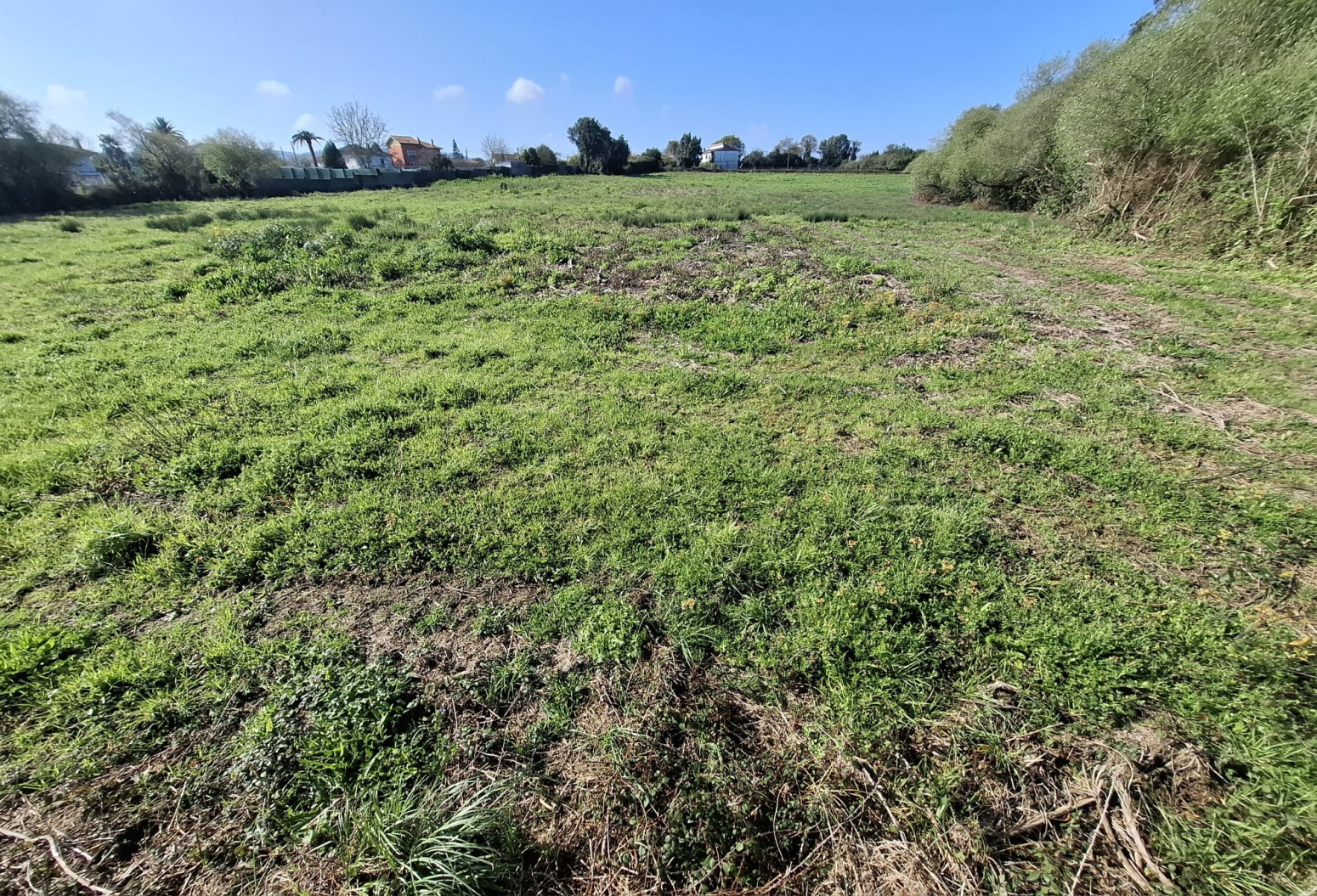 Fincas y solares-Venta-GijÃ³n-1708168-Foto-13