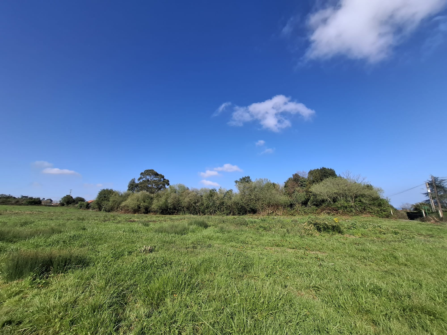 Fincas y solares-Venta-GijÃ³n-1708168-Foto-7