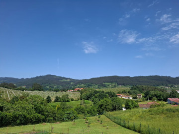 Casas o chalets-Venta-Villaviciosa-2283341-Foto-31-Carrousel