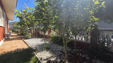 Jardín