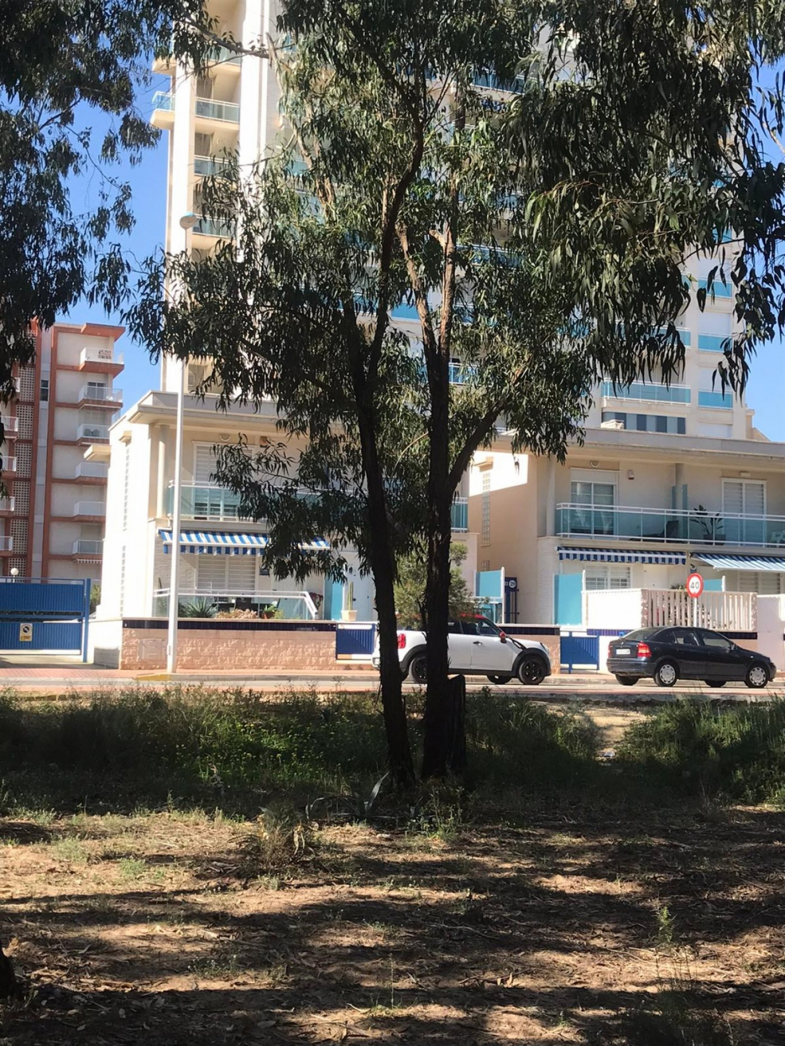Pisos-Venta-Guardamar del Segura-940307-Foto-19