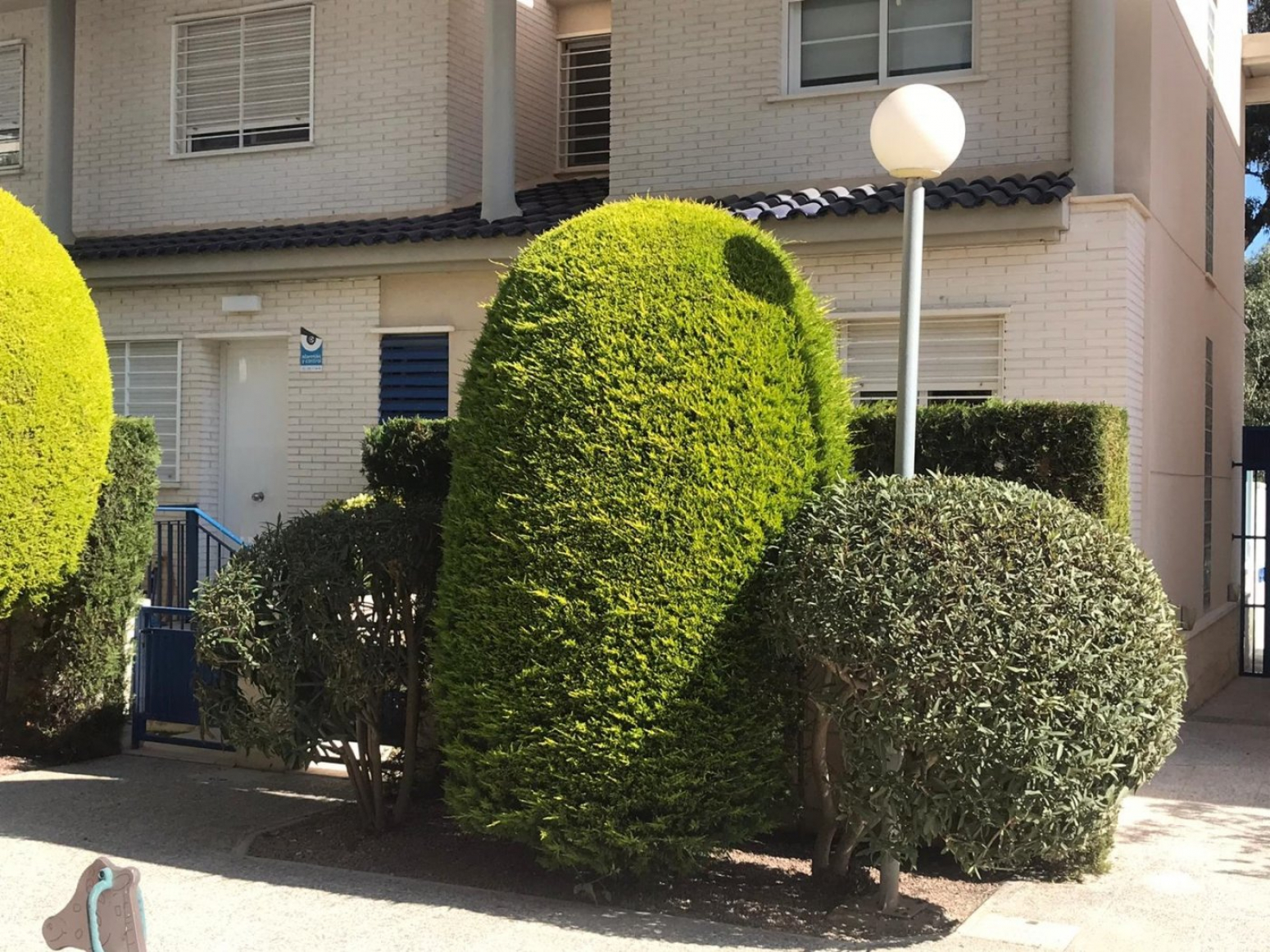 Pisos-Venta-Guardamar del Segura-940307-Foto-11
