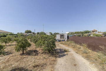 Fincas y solares-Venta-La Rinconada-1264166-Foto-1-Carrousel