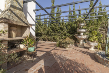 Casas o chalets-Venta-Carmona-1404574-Foto-15-Carrousel