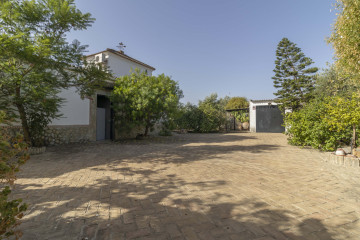 Casas o chalets-Venta-Carmona-1404574-Foto-11-Carrousel