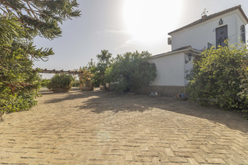 Casas o chalets-Venta-Carmona-1404574-Foto-13-Carrousel