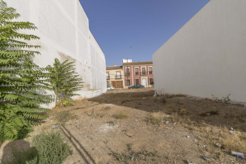 Fincas y solares-Venta-El Viso del Alcor-1404681-Foto-2-Carrousel