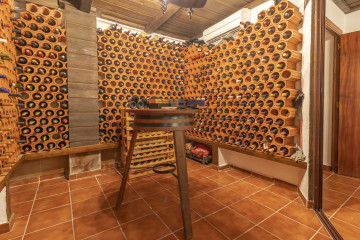 Casas o chalets-Venta-Sevilla-1724051-Foto-56-Carrousel