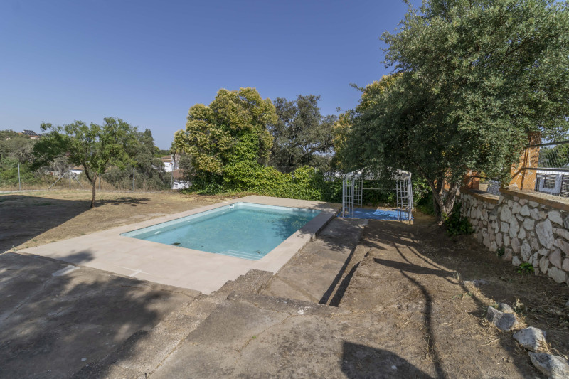 Casas o chalets-Venta-Guillena-2334904-Foto-5