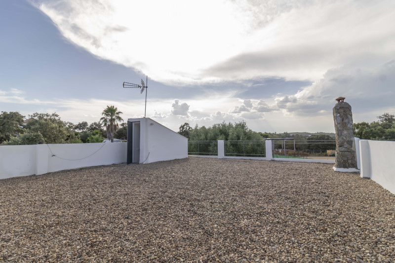 Casas o chalets-Venta-Guillena-2334904-Foto-69