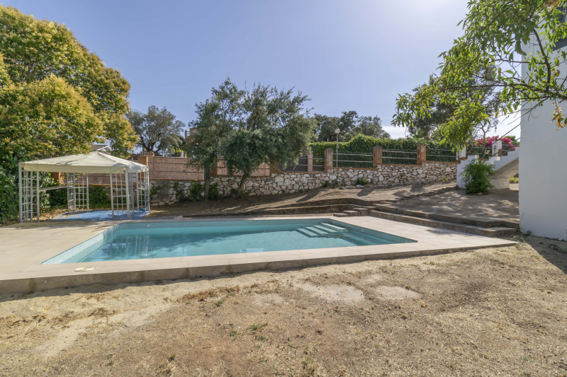Casas o chalets-Venta-Guillena-2334904-Foto-9