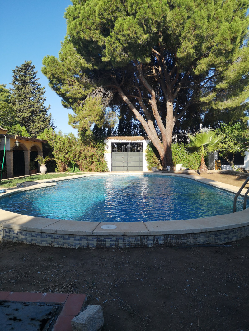 Casas o chalets-Venta-Espartinas-2346802-Foto-14