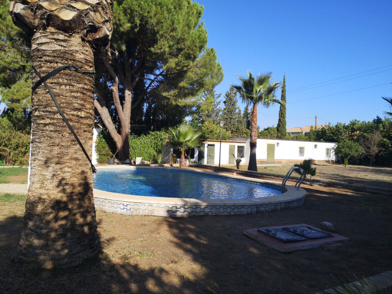 Casas o chalets-Venta-Espartinas-2346802-Foto-13