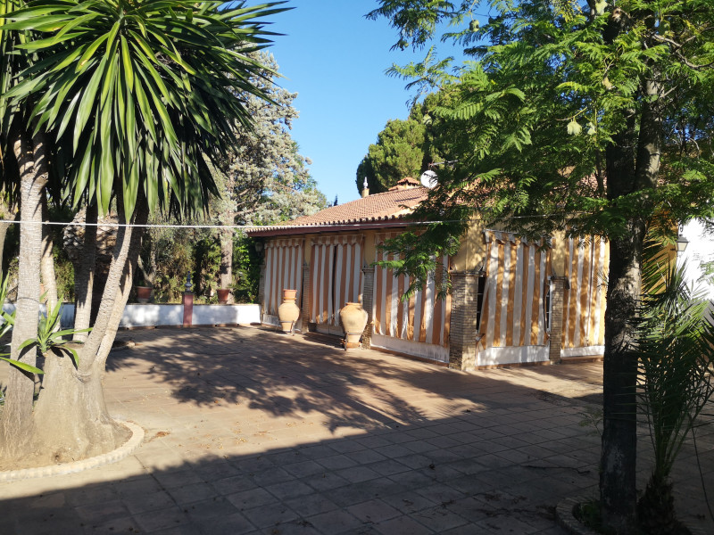 Casas o chalets-Venta-Espartinas-2346802-Foto-5