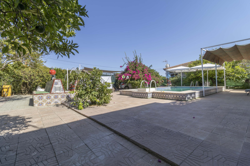 Casas o chalets-Venta-Espartinas-2356118-Foto-4