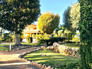 Casas o chalets-Venta-Elche-711115-Foto-19-Carrousel