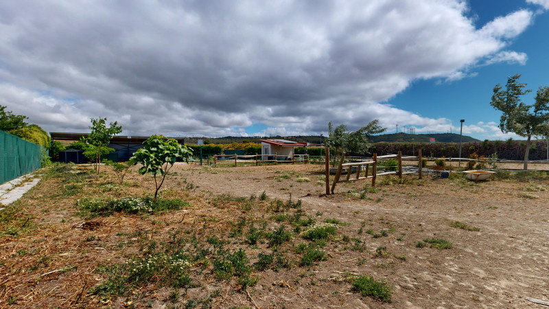 Fincas y solares-Venta-Tafalla-1115367-Foto-6