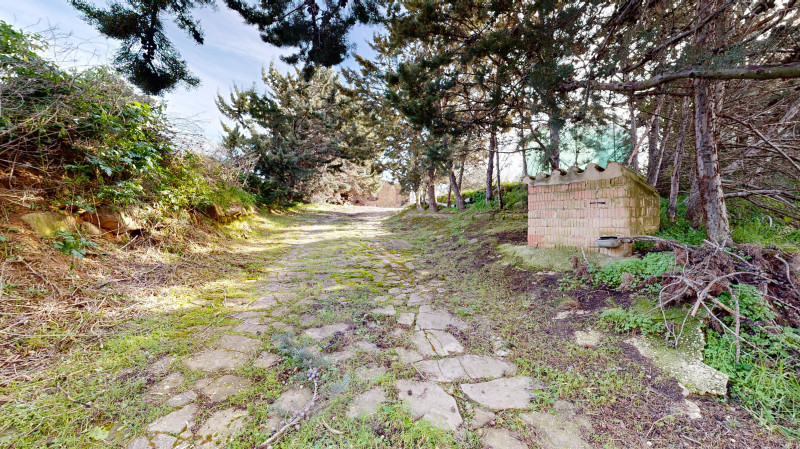 Fincas y solares-Venta-Tafalla-1509104-Foto-12