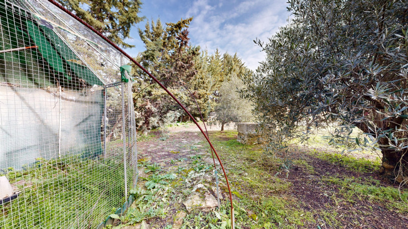 Fincas y solares-Venta-Tafalla-1509104-Foto-16