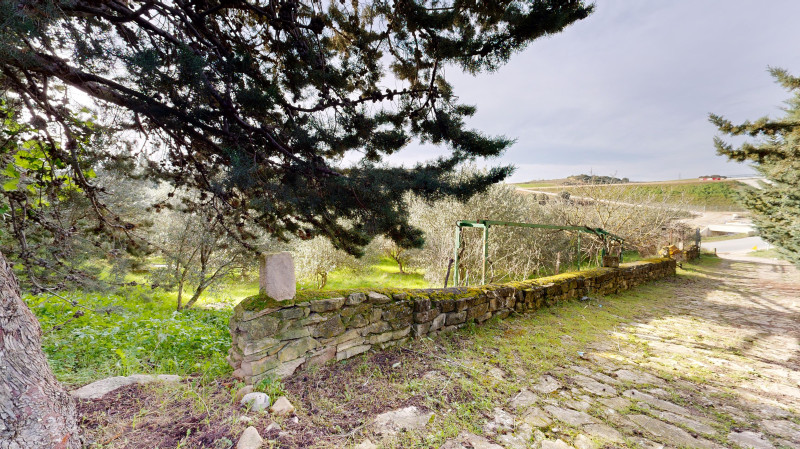 Fincas y solares-Venta-Tafalla-1509104-Foto-60